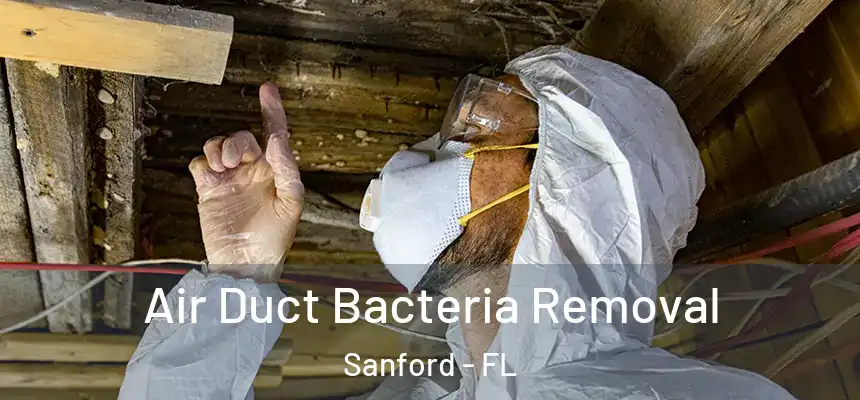  Air Duct Bacteria Removal Sanford - FL