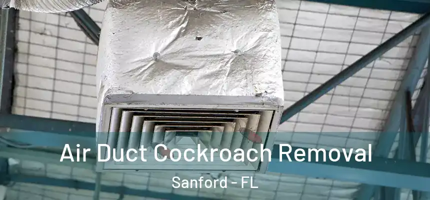  Air Duct Cockroach Removal Sanford - FL