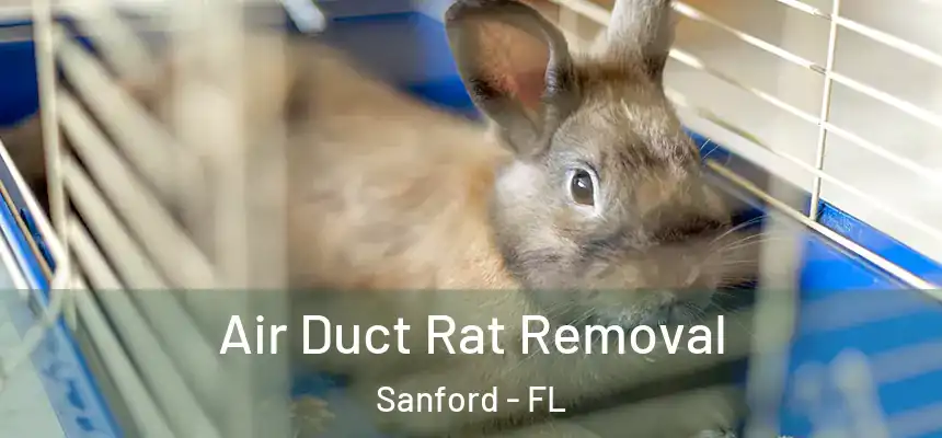  Air Duct Rat Removal Sanford - FL