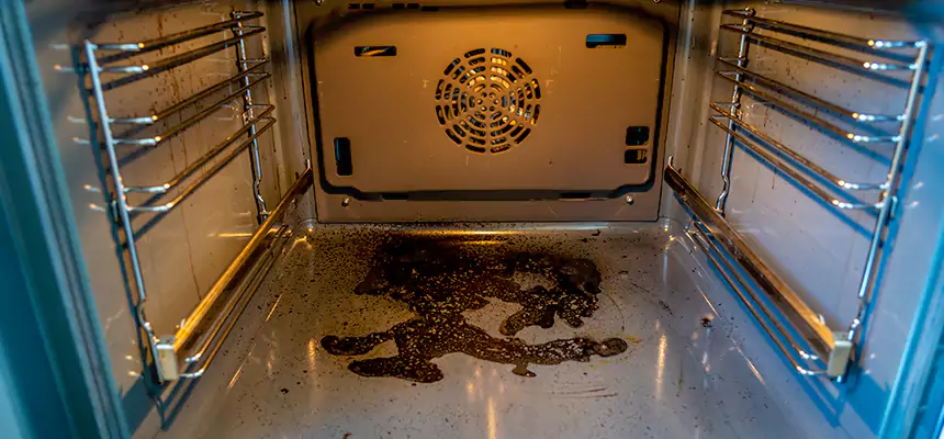 Our Dryer Vent Mold Cleaning Services in Sanford, FL