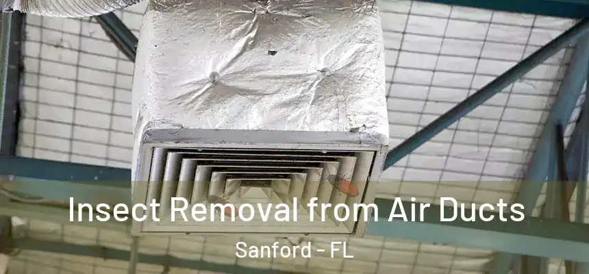 Insect Removal from Air Ducts Sanford - FL