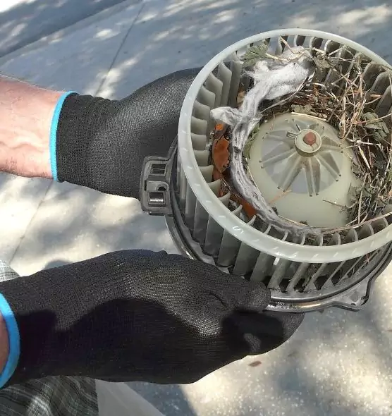 About Air Duct Mice Removal in Sanford, FL