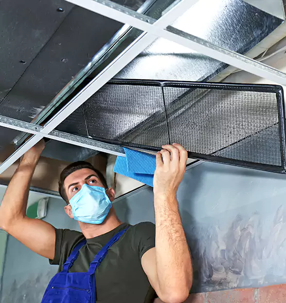 Professional Air Duct Pollen Cleaning in Sanford, FL