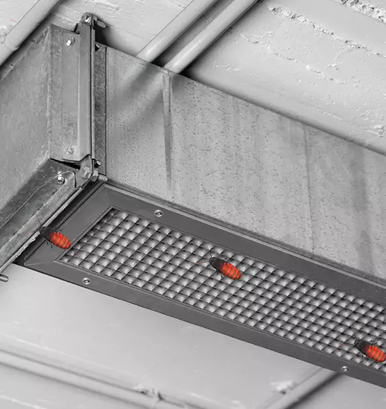 Affordable Insect Removal from Air Ducts in Sanford, FL