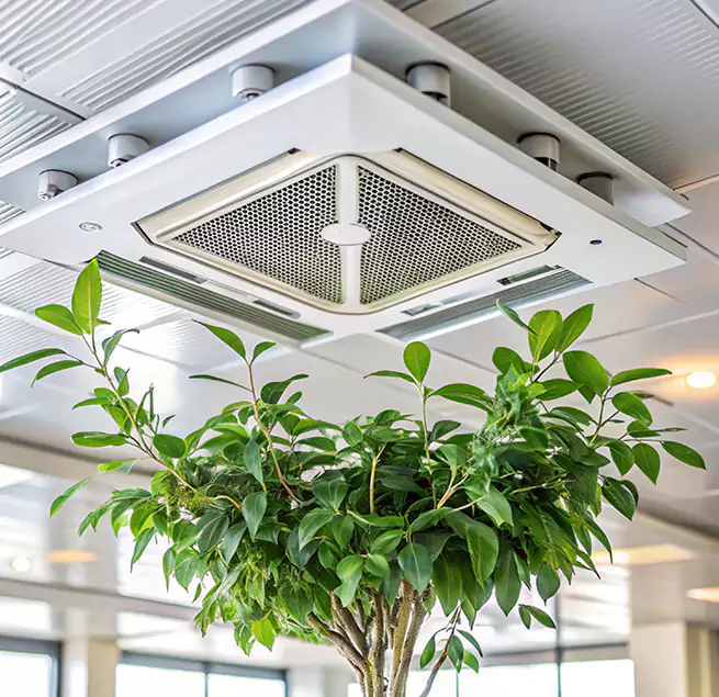 Why Homeowners & Businesses Trust Us in Sanford, FL?