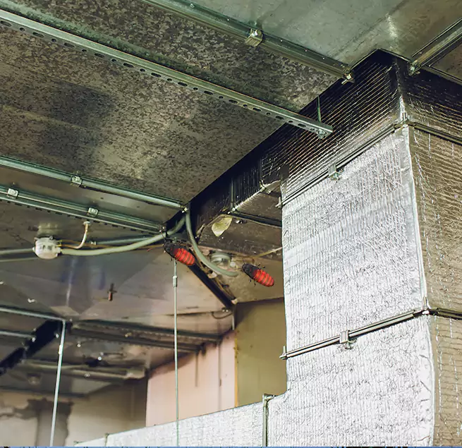 Why Homeowners & Businesses Trust Us Sanford, FL?