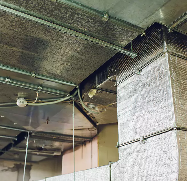 Why Homeowners & Businesses Trust Us in Sanford, FL?